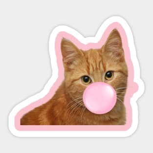 Bubble Gum Cat Sticker